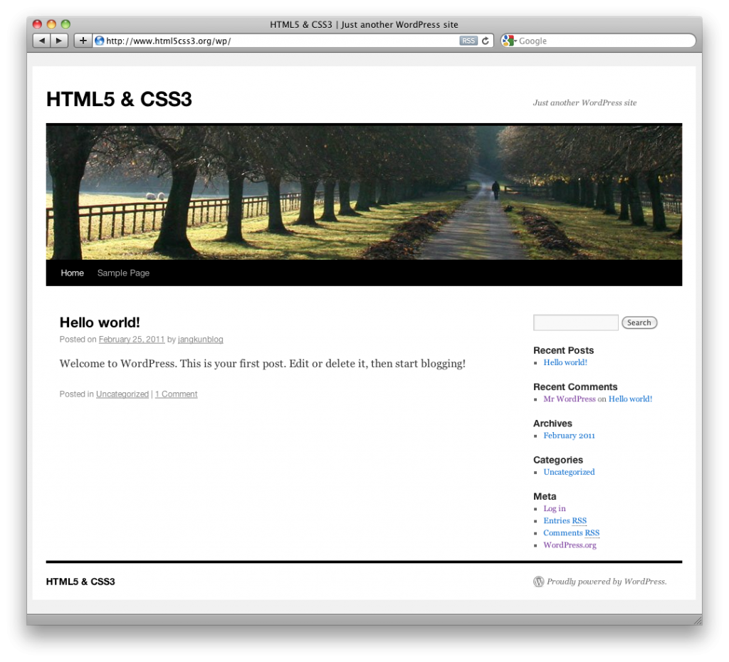 HTML5 CSS3 WordPress site