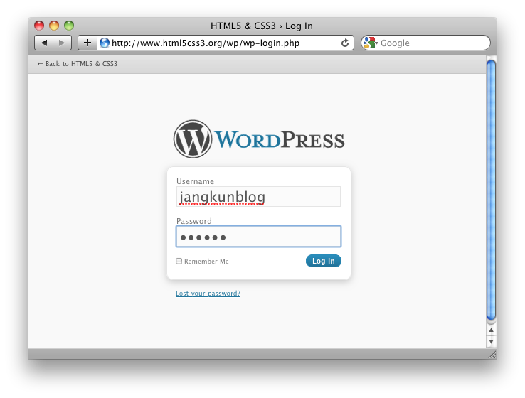 WordPress Admin Log In